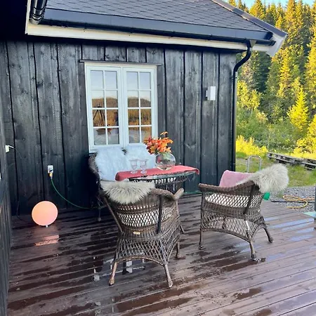 Pa Solsiden Av Gaustatoppen Tuddal Exterior photo