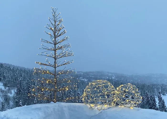 Pa Solsiden Av Gaustatoppen