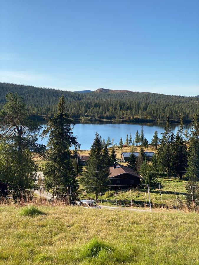 Pa Solsiden Av Gaustatoppen *