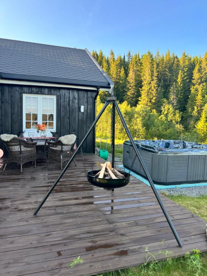 Pa Solsiden Av Gaustatoppen Tuddal