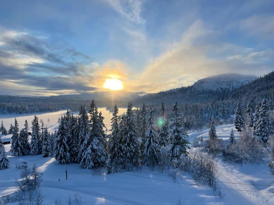 Pa Solsiden Av Gaustatoppen Сasa de vacaciones *