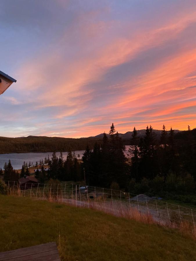 Pa Solsiden Av Gaustatoppen * Tuddal