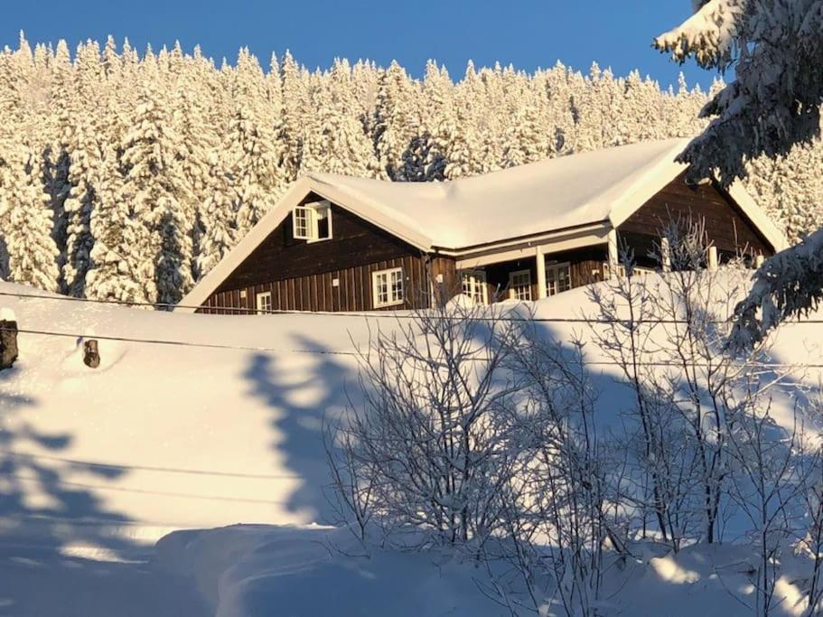 Pa Solsiden Av Gaustatoppen Сasa de vacaciones Tuddal