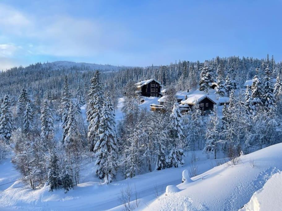 Сasa de vacaciones Pa Solsiden Av Gaustatoppen *